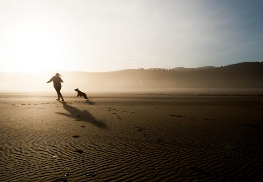 Préserver sa santé grâce à un animal de compagnie