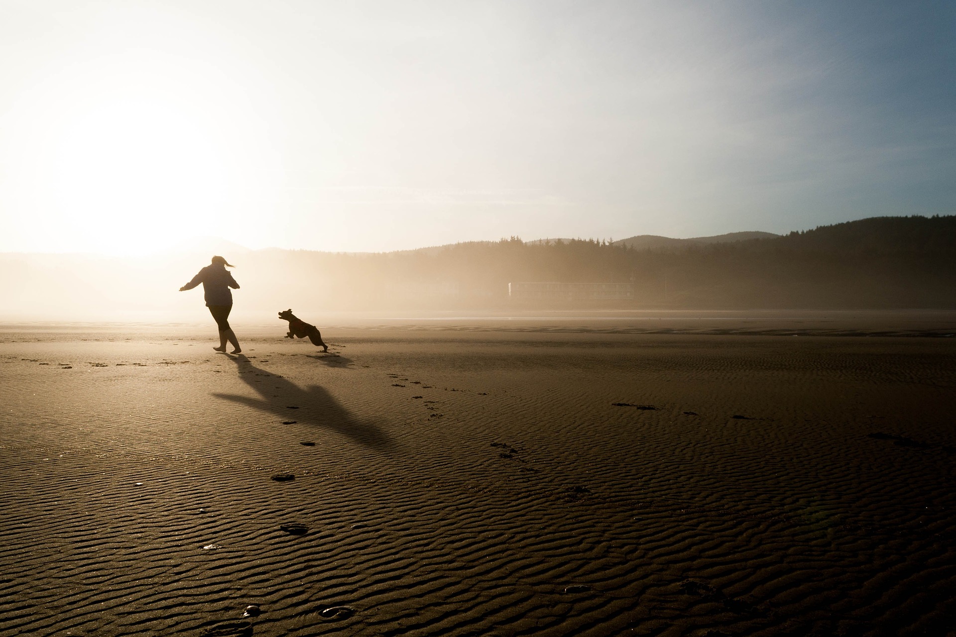 Un homme et son chien qui jouent sur une plage