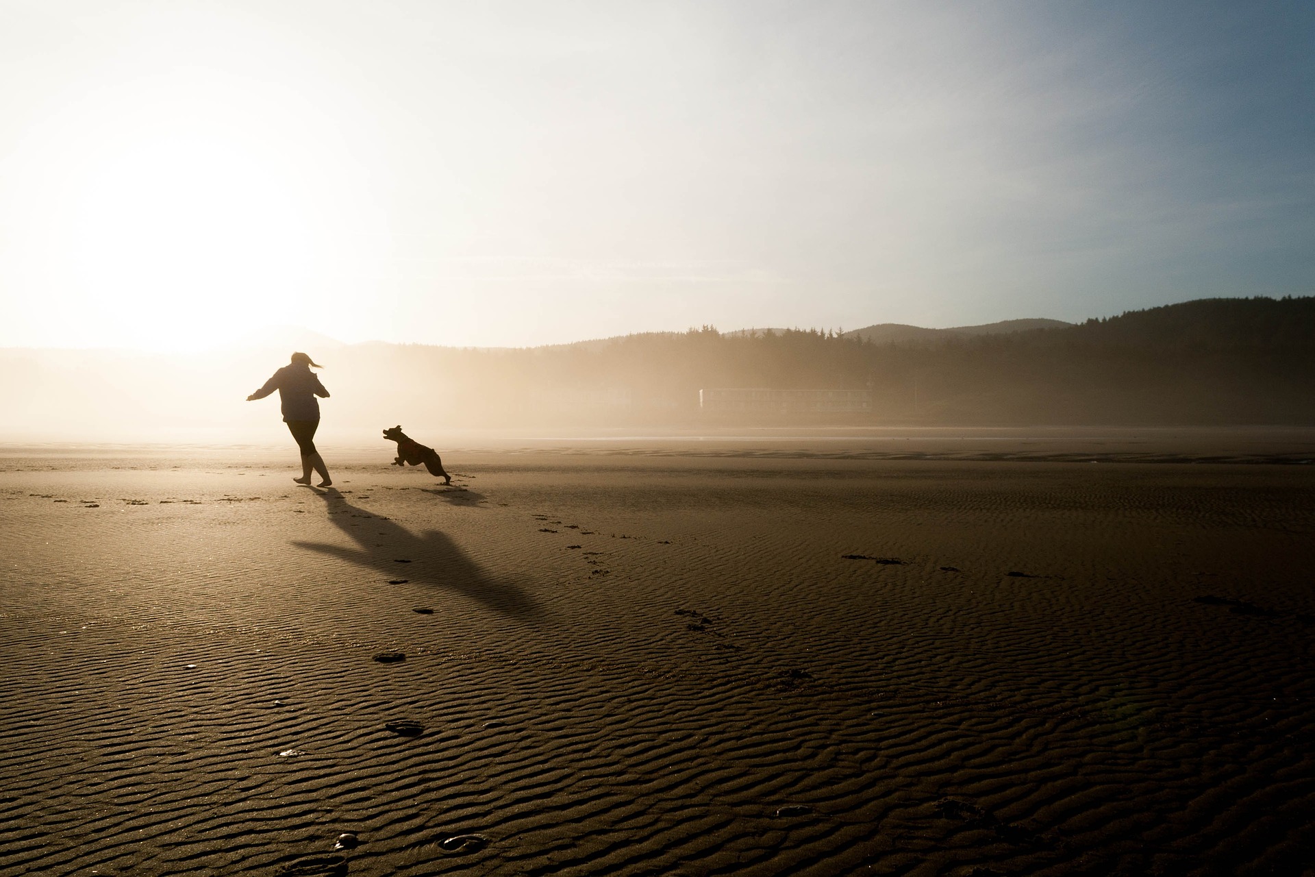 Un homme et son chien qui jouent sur une plage