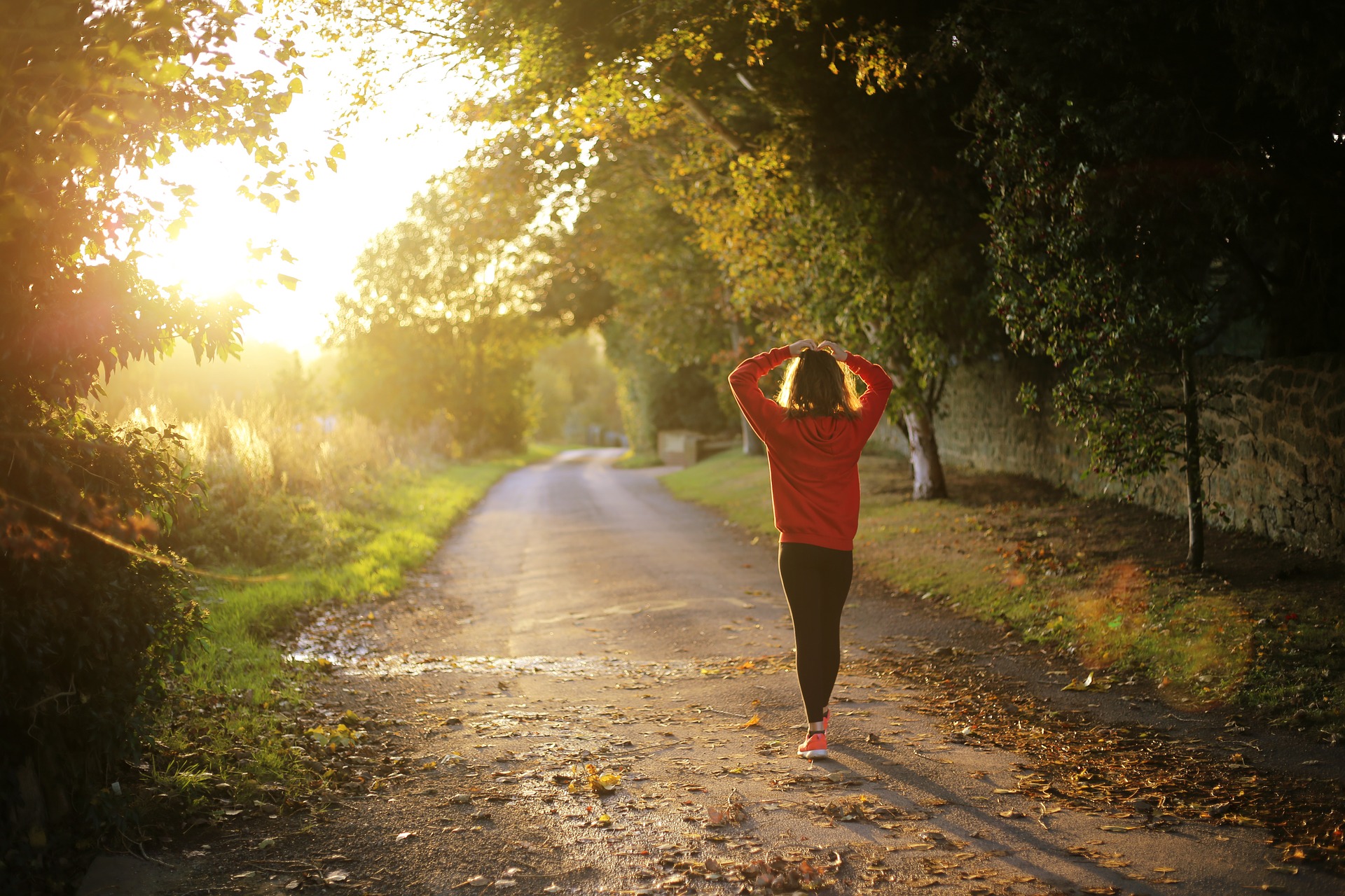 Femme vue de dos qui marche dans la nature au lever du soleil